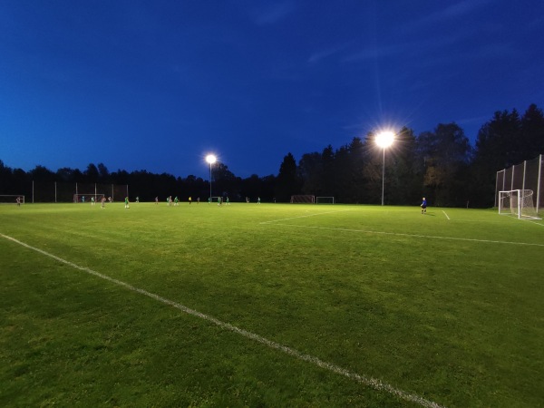 Stadion Alte Reichenhaller Straße Nebenplatz - Teisendorf