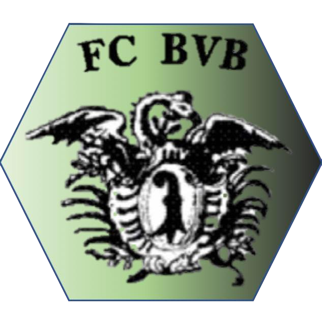 Wappen FC Basler Verkehrsbetriebe  45985