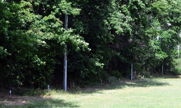 Sportplatz Osterbinde - Bassum-Osterbinde