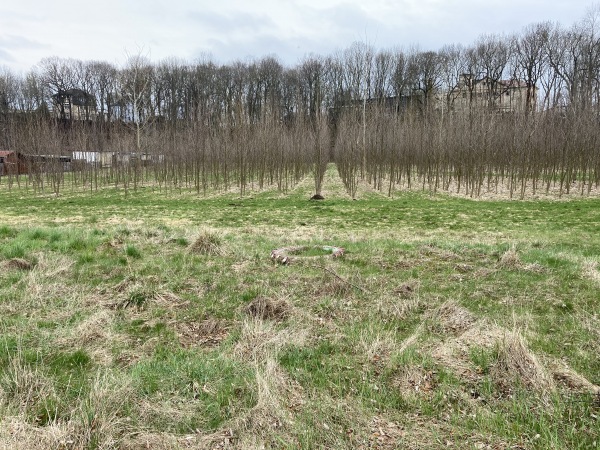 Sportplatz auf dem Plateau - Altenburg/Thüringen