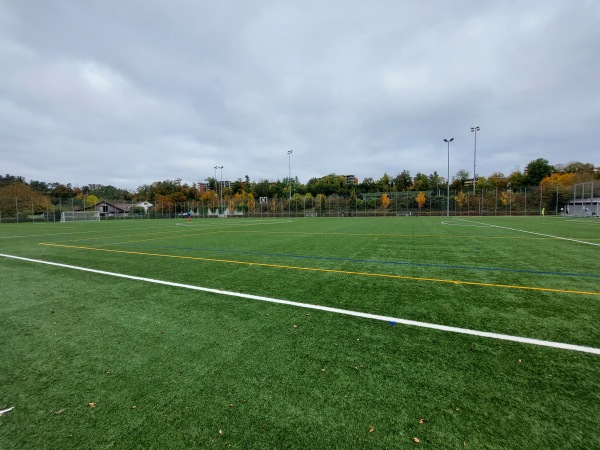 Sportanlage Tüfi Platz 2 - Adliswil