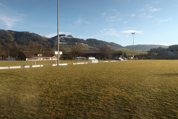 Sportplatz Unterallmend Platz 2 - Root