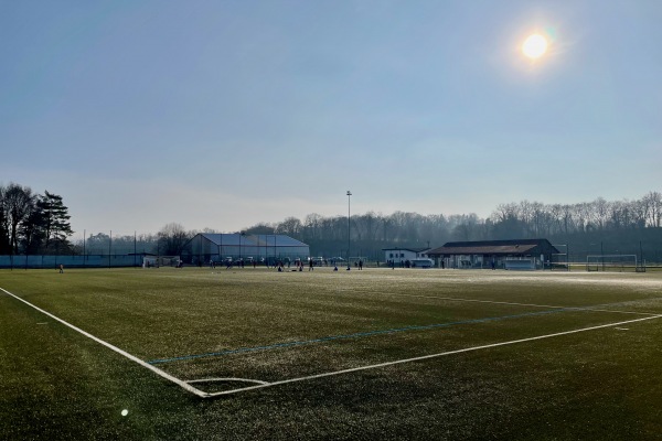 Stade des Fromentaux terrain annexe - Delle