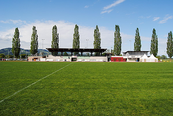 Sportanlage Müss - Fussach