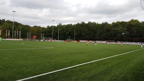 Sportpark Veldwijk - Barbaros - Hengelo OV