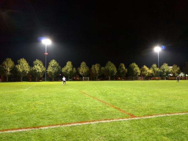 Sportanlage Novartis St. Johann - Saint-Louis