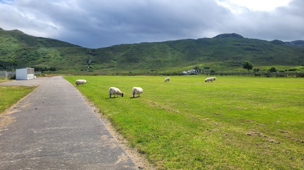 Glentornan Park - Glentornan