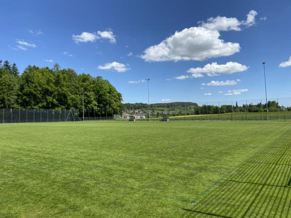Sportanlage Rolli Platz 3 - Seuzach
