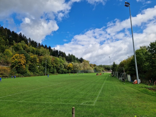 Flößer-Stadion Nebenplatz - Wallenfels