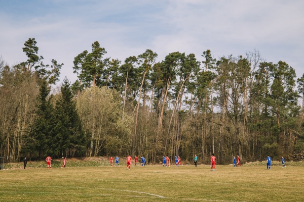 Waldsportanlage Platz 2 - Ammerndorf