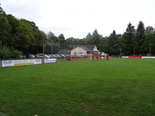 Waldeckstadion - Reute/Breisgau