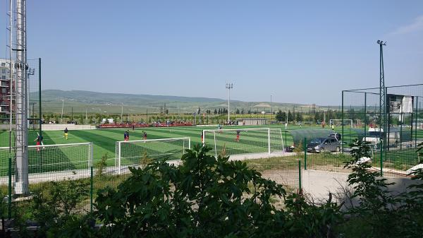 Varketili Football Centre - Tbilisi