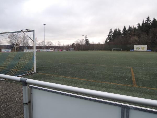 Sportplatz am Bürgerhaus - Schlangenbad-Hausen