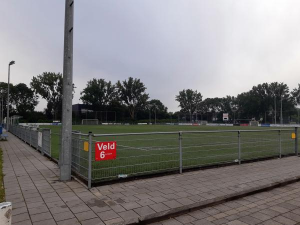 Sportpark West-End veld 6-Groninger Boys - Groningen