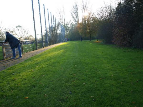 Sportanlage Schaephuysener Straße Platz 2 - Kempen-Tönisberg