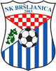 Wappen NK Bršljanica