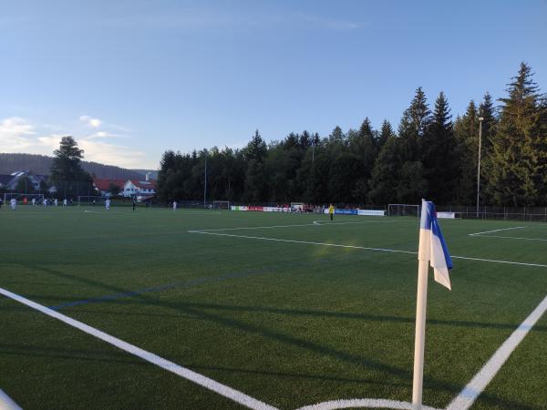 Maik-Löffler-Arena - Titisee-Neustadt