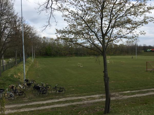 Sportpark Mortelskoel veld 3 - Maasgouw-Maasbracht