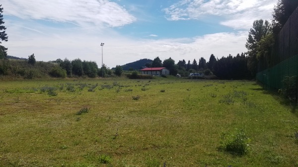 Sportplatz am Steinigen Hügel - Suhl-Gehlberg