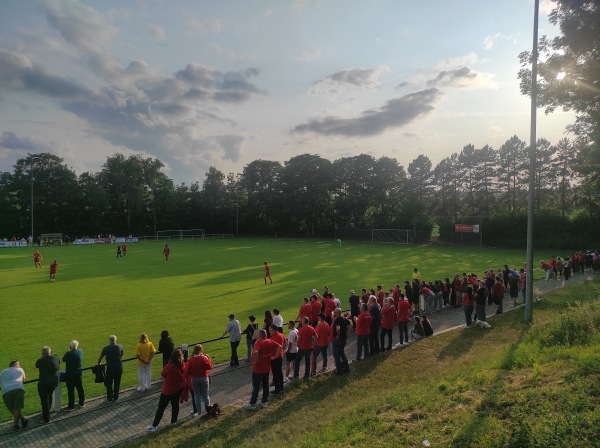 Willi Stoll Arena - Alzey-Weinheim