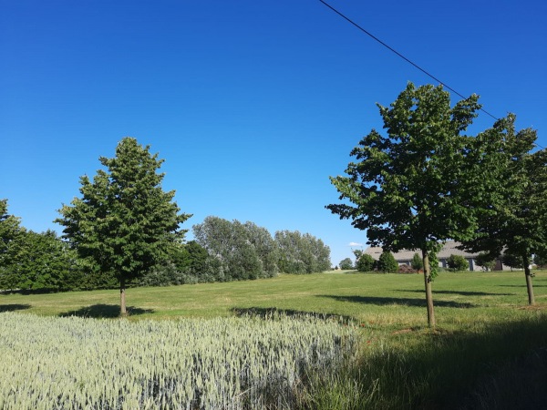 Sportplatz Grünow - Grünow bei Prenzlau