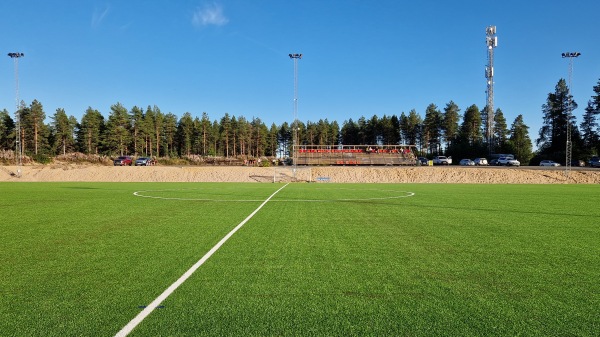 Olympia, Heden-Konstgräs - Boden
