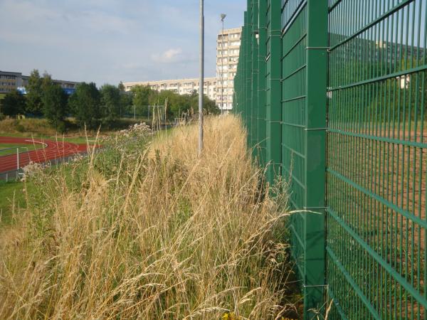 Sportplatz Crieschwitzer Hang - Plauen/Vogtland