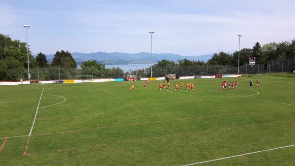 Sportplatz Chalchbüel - Richterswil