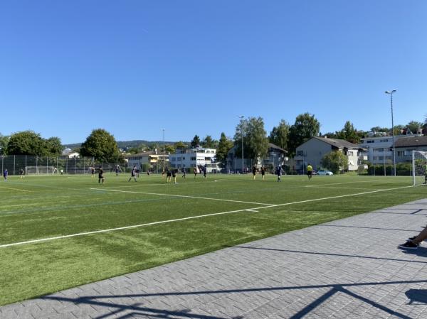 Sportplatz Riet Platz 2 - Zollikon