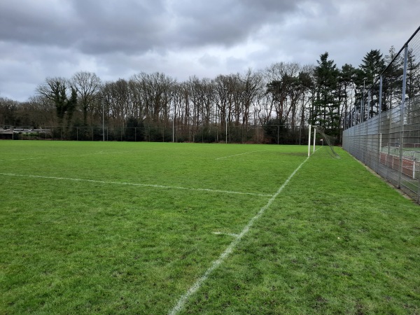 Sportpark Actief veld 2 - Tynaarlo-Eelde