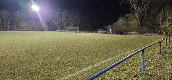 Sportanlage am Altrhein Platz 2 - Römerberg-Heiligenstein