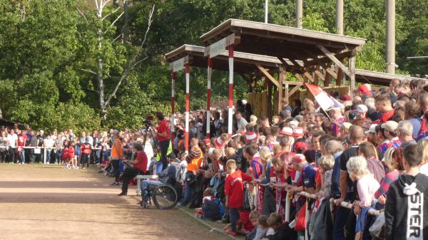 Otto-Franke-Stadion - Wildau