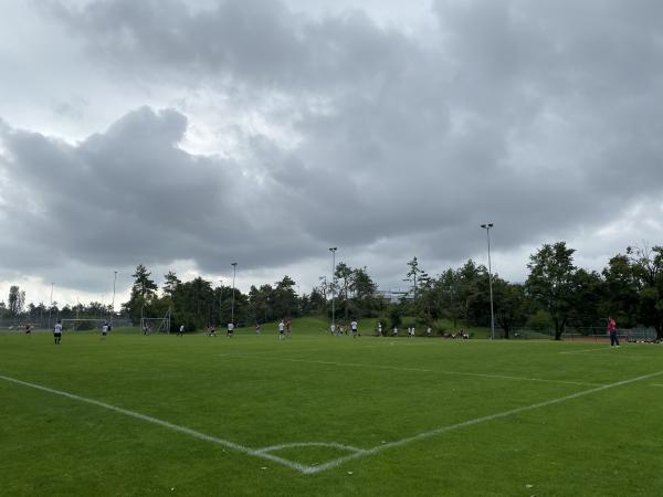 Sportanlage Hardhof Platz 2 - Zürich