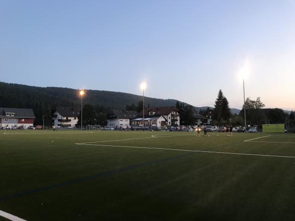 Maik-Löffler-Arena - Titisee-Neustadt