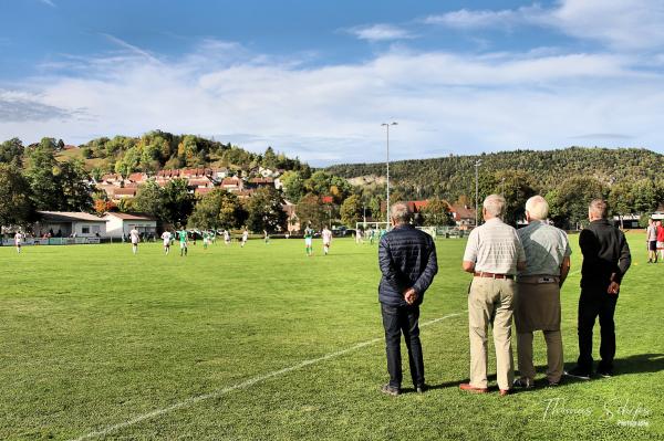 Sportgelände an der Donau - Fridingen/Donau