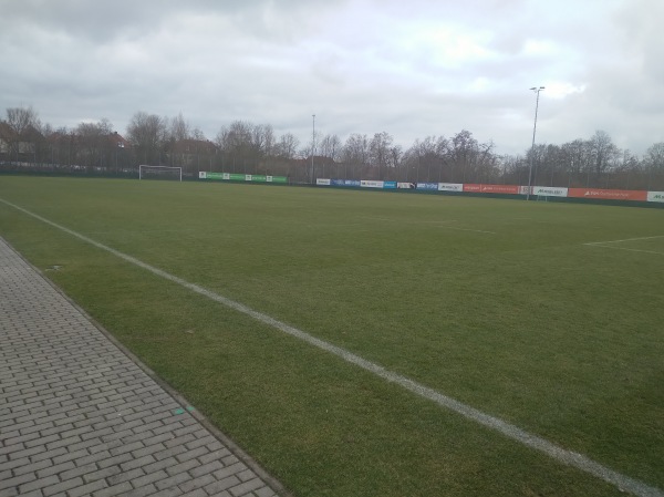 Leuna-Chemie-Stadion Nebenplatz - Halle/Saale-Gesundbrunnen