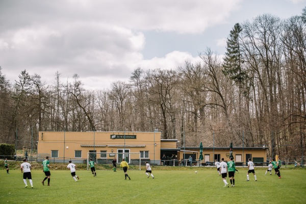 Sportplatz Plexgrund - Lichtentanne-Schönfels