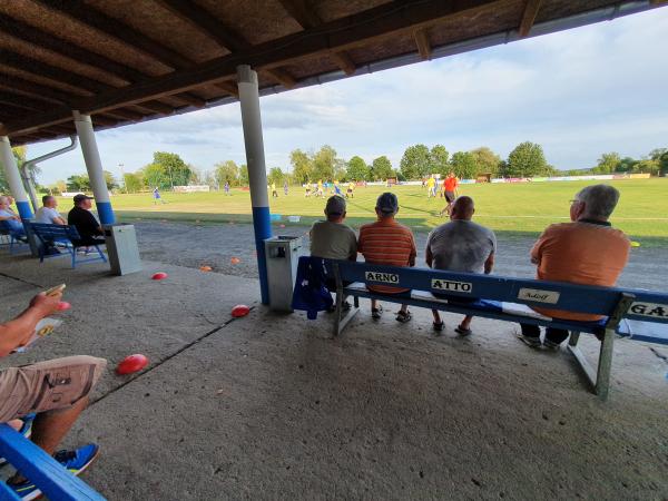 Geschwister-Scholl-Sportplatz - Gartz/Oder