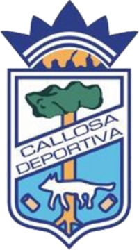 Wappen Callosa Deportiva CF  94653