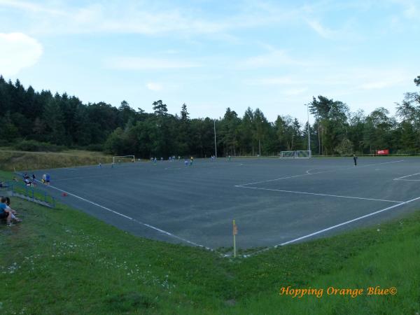 Waldsportplatz am Tierpark - Herborn-Uckersdorf