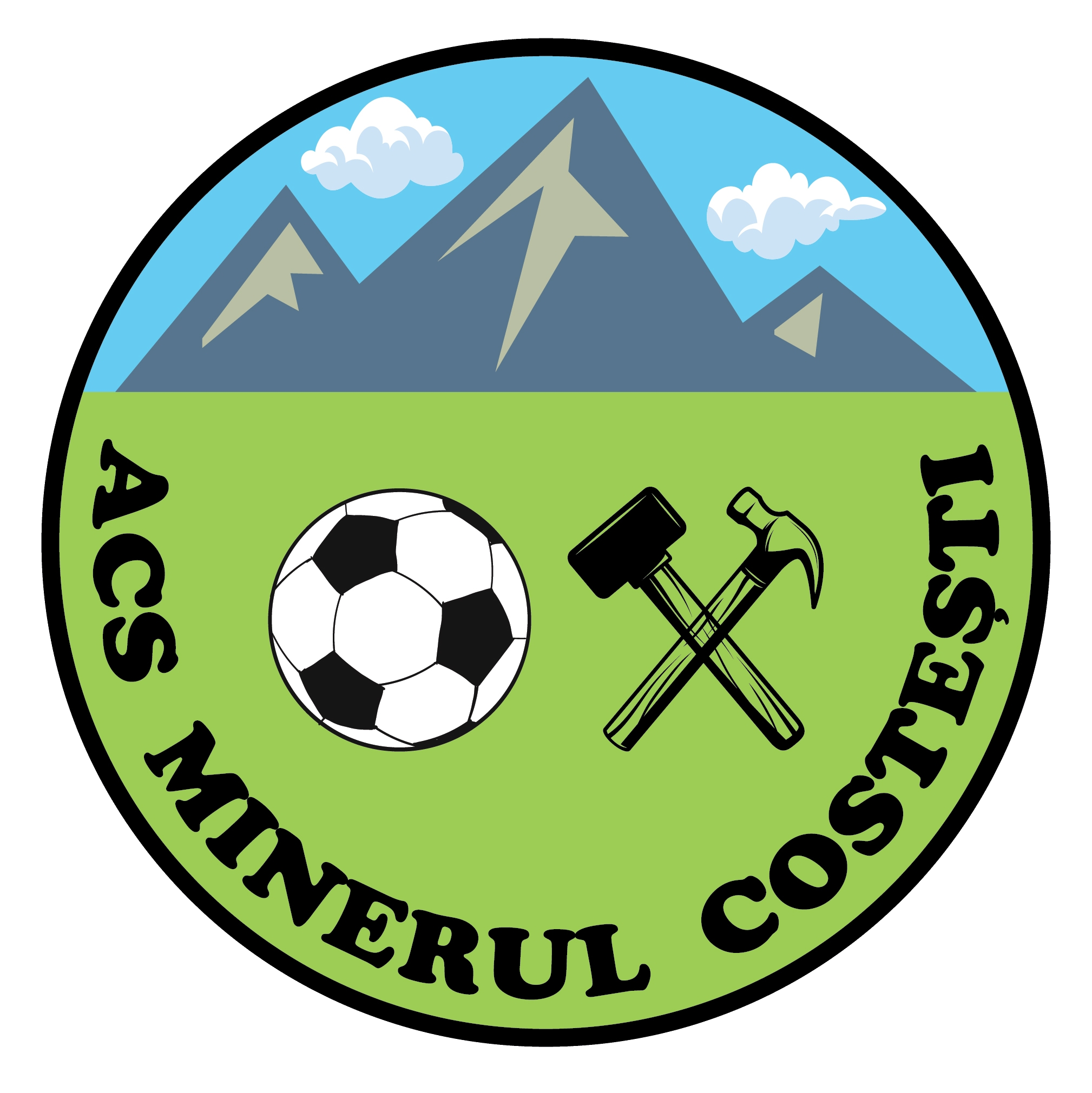 Wappen AS Minerul Costești  62477