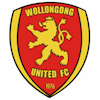 Wappen Wollongong United FC  13259
