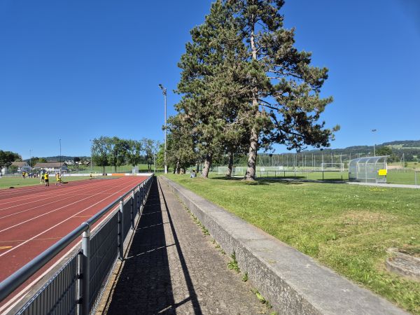 Sportanlage Meierwiesen - Wetzikon
