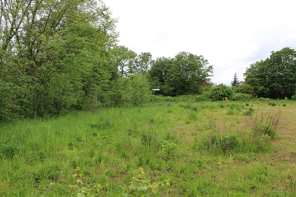 Sportplatz Klosterhardter Straße - Oberhausen/Rheinland-Klosterhardt