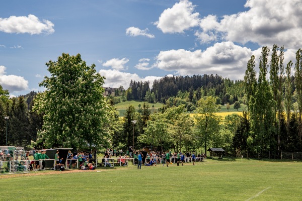 Helmut-Krauß-Sportstätte - Schwarzenberg/Erzgebirge-Bermsgrün
