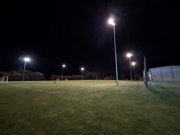Sportpark 't Amsterdamse veld veld 2 - Emmen-Weiteveen