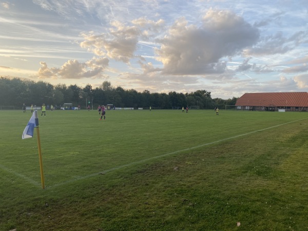 Sportplatz Blender - Blender