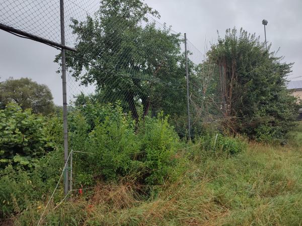 Sportplatz an der Bundesstraße - Treuchtlingen-Dietfurt