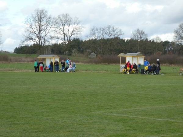 Boisko w Leśniowie Wielkim - Leśniów Wielki