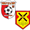 Wappen SG Wespen/Kleinmühlingen/Zens II (Ground B)